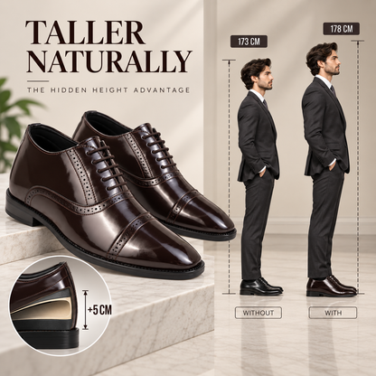 Elevator - Formal Brown Shoes